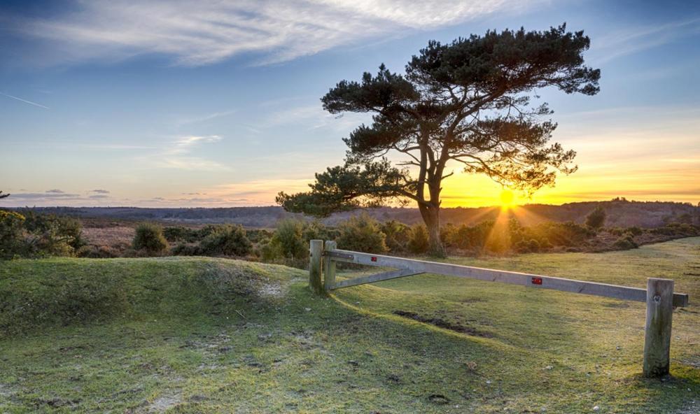 The Knightwood Oak A Luxury King Size En-Suite Space - Lymington New Forest With Totally Private Entrance - Key Box Entry - Free Parking & Private Outdoor Seating Area - Town ,Shops , Pubs & Solent Way Walking Distance & Complimentary Breakfast Items Esterno foto